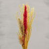 Droogbbloemen geel met rood | Dining Deco