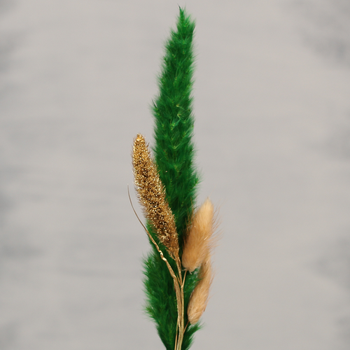 Droogbloemen groen, goud en beige | Dining Deco