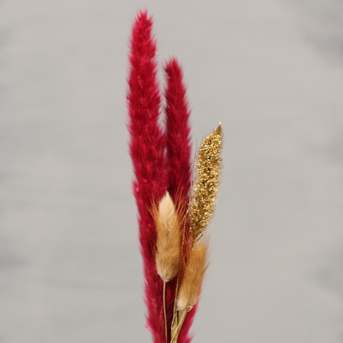 Droogbloemen rood | Dning Deco