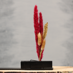 Droogbloemen kerst | Dining Deco