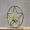 Kerst ster figuur met luchtplantje en spaans mos | Dining Deco