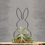 Paasgeschenk met luchtplant en mos | Dining Deco
