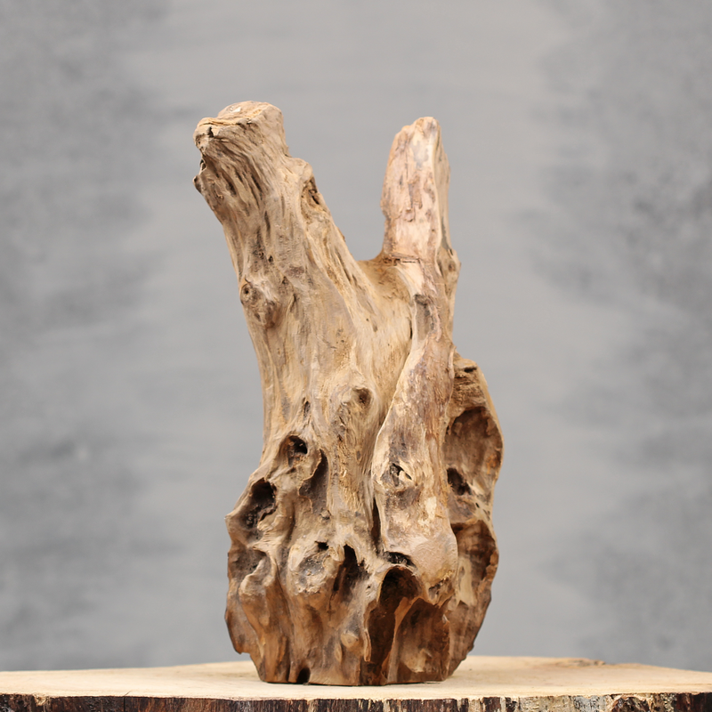 Unieke decoratie met teakhout | Dining Deco