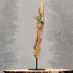 Interieurecoratie met drijfhout en luchtplantje op standaard| Dining Deco
