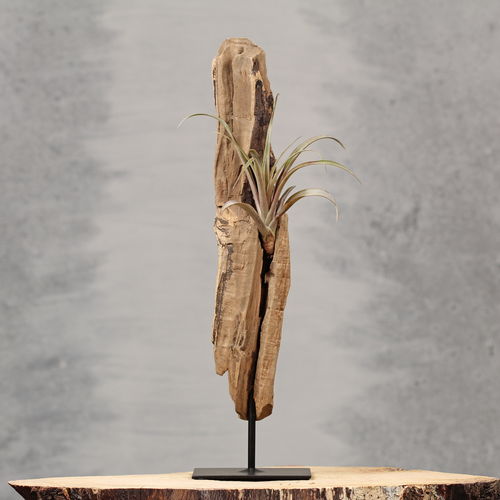 Interieurecoratie met drijfhout | Dining Deco